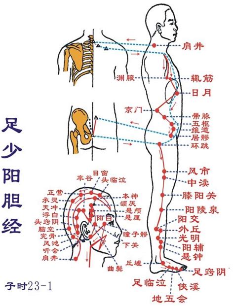 三陽三陰|三、經絡命名的原由